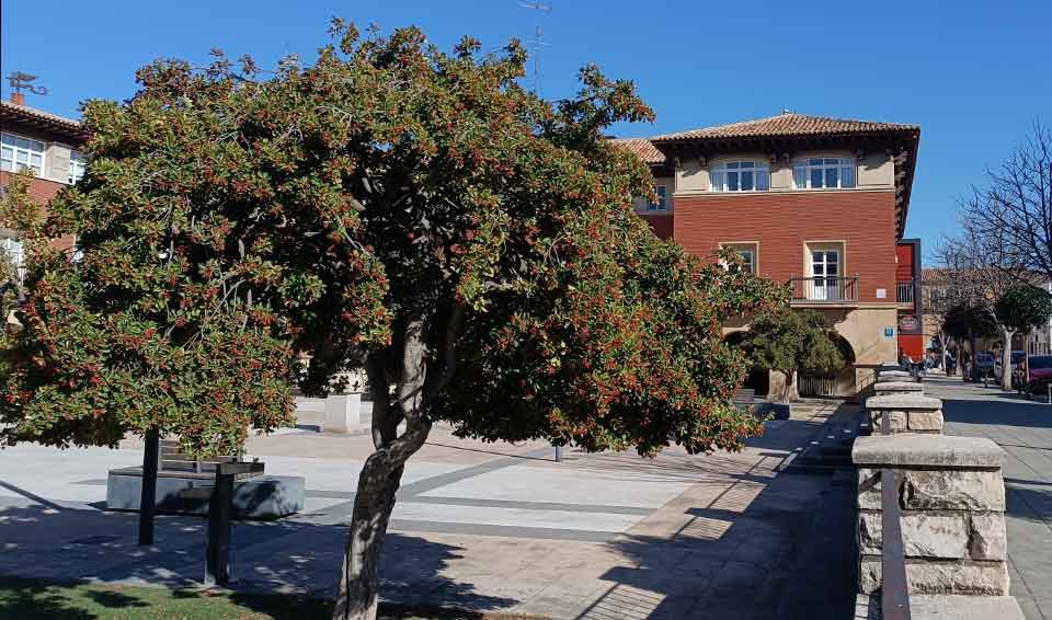 hotel oleum alojamiento para hacer ruta de las huellas belchite